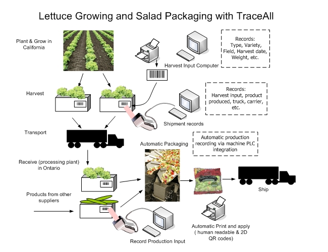 salad grower and processor overview